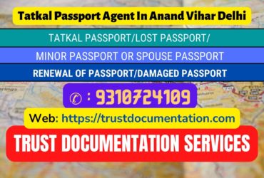 Passport agent consultant in Anand Vihar Delhi 9310724109