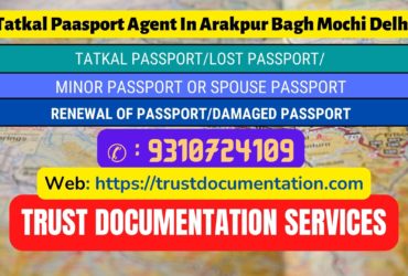 Passport agents service in Arakpur Bagh Mochi Delhi 9310724109