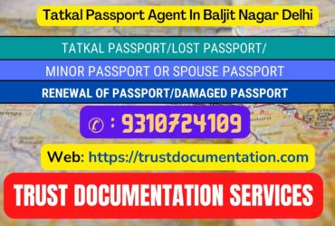 Passport agents in Baljit Nagar Delhi 9310724109