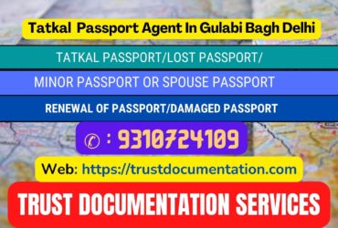 Passport agent consultant in Gulabi Bagh Delhi 9310724109