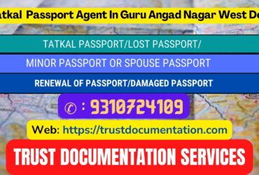 Passport agents service in Guru Angad Nagar West Delhi 9310724109