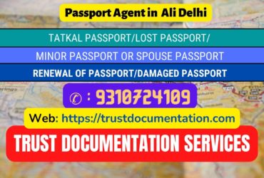 Passport agents in Ali Delhi 9310724109