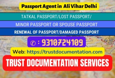 Passport agent consultant in Ali Vihar Delhi 9310724109