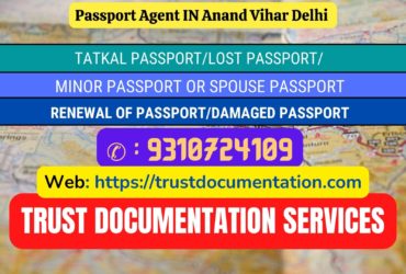 Passport agent consultant in Anand Vihar Delhi 9310724109