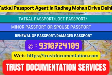 Passport agents consultant in Radhey Mohan Drive Delhi 9310724109