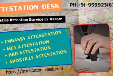 Certificate Attestation Apostille in Assam 9599231630