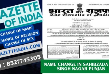 Gazette Publication Name Change In Sahibzada Ajit Singh Nagar Punjab 8527745305