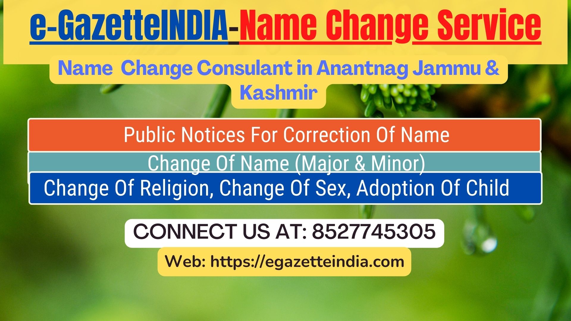 procedure-for-name-change-in-anantnag-jammu-kashmir-8527745305