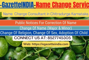 Change of Name in Gazette agent in Chitradurga Karnataka 8527745305