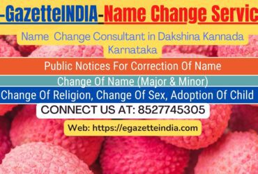 Change of Name in Gazette agent in Dakshina Kannada Karnataka 8527745305