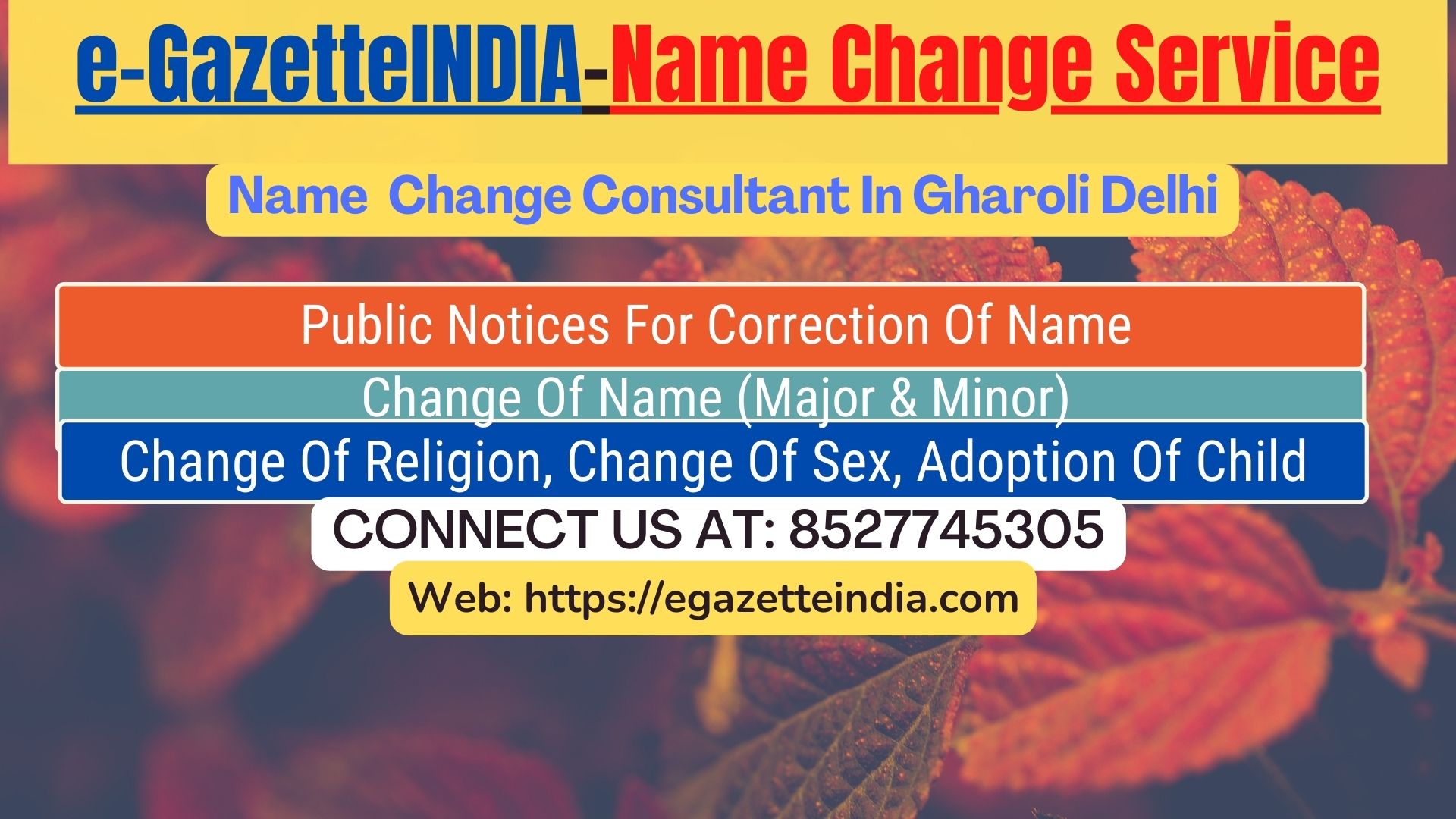 Name Change Gazette Notification In Gharoli  Delhi 8527745305