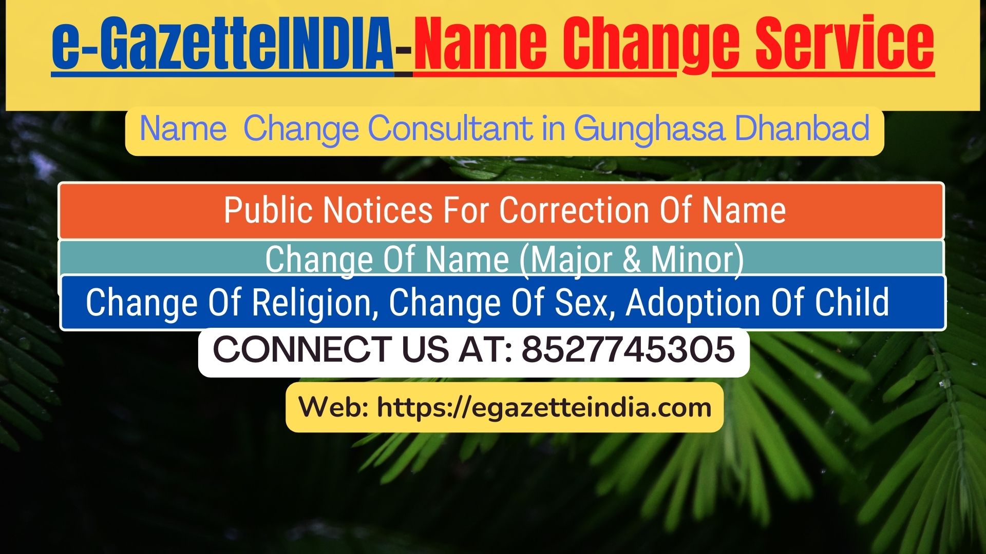 Gazette Of India Name Change Service In Gunghasa Dhanbad-8527745305