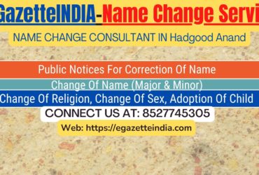 Gazette Name Change Agent Consultant Service In Hajira INA Surat-8527745305