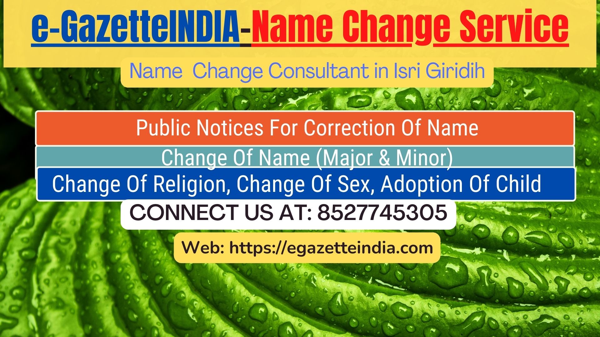 Gazette Of India Name Change Service In Isri Giridih-8527745305