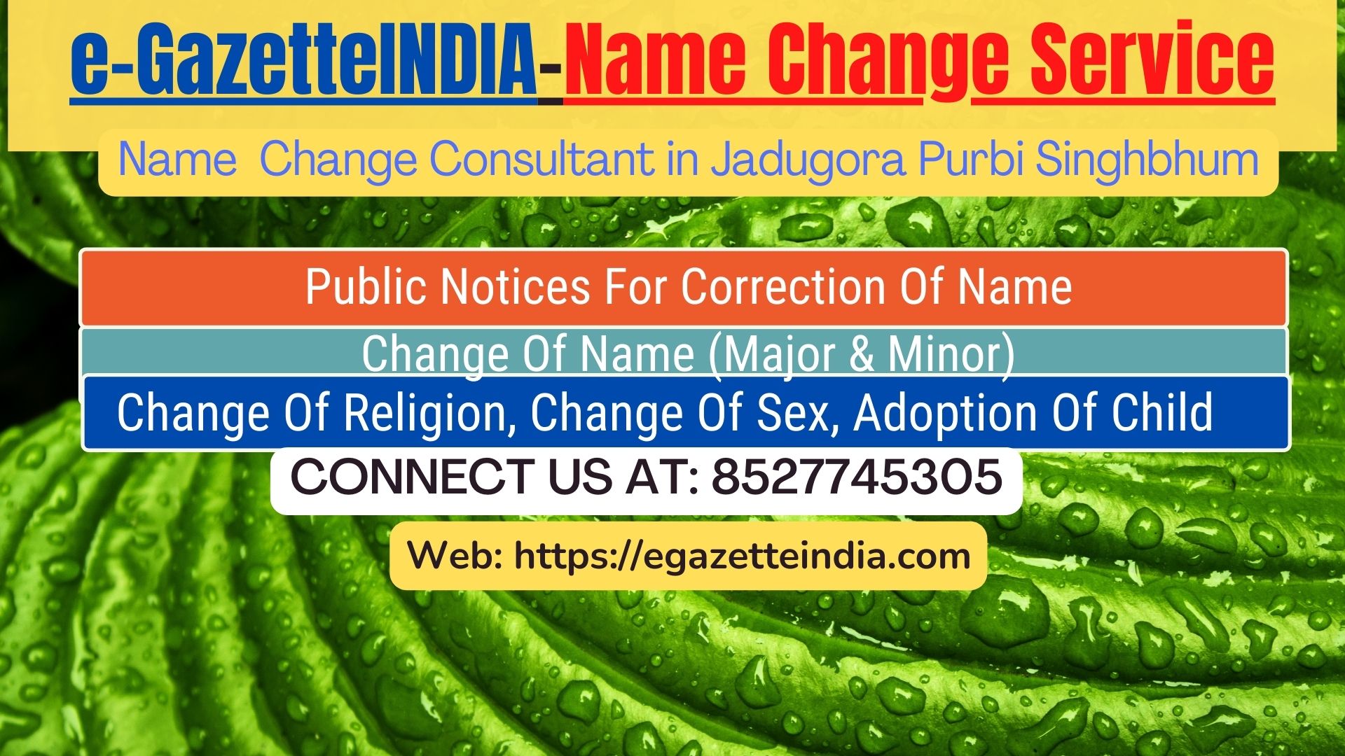 Procedure for name change in Jadugora Purbi Singhbhum 8527745305