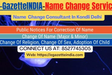 Gazette Of India Name Change Service In Kondli Delhi-8527745305