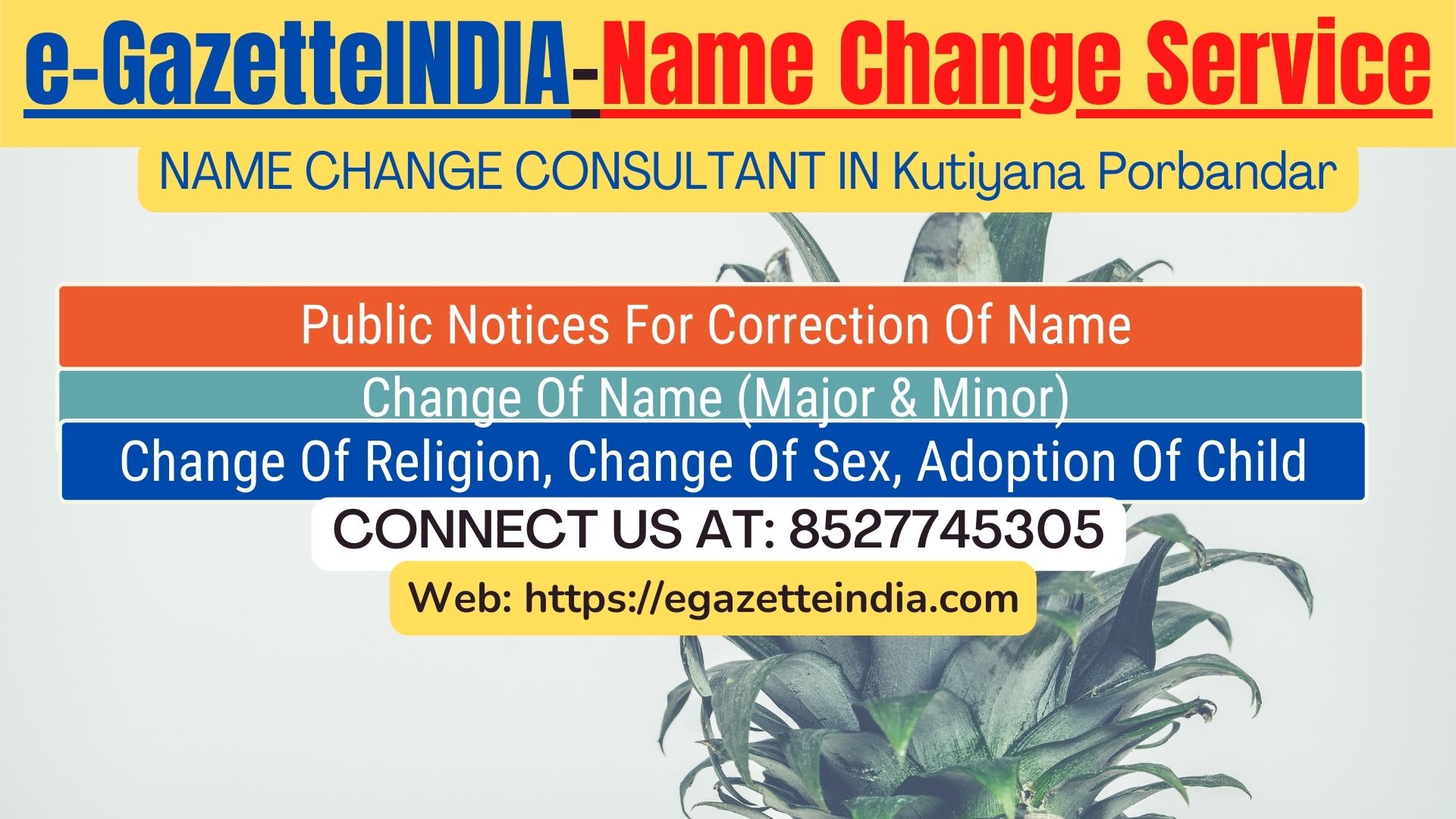 Name Change Agent Kutiyana Porbandar In Kutiyana Porbandar 8527745305