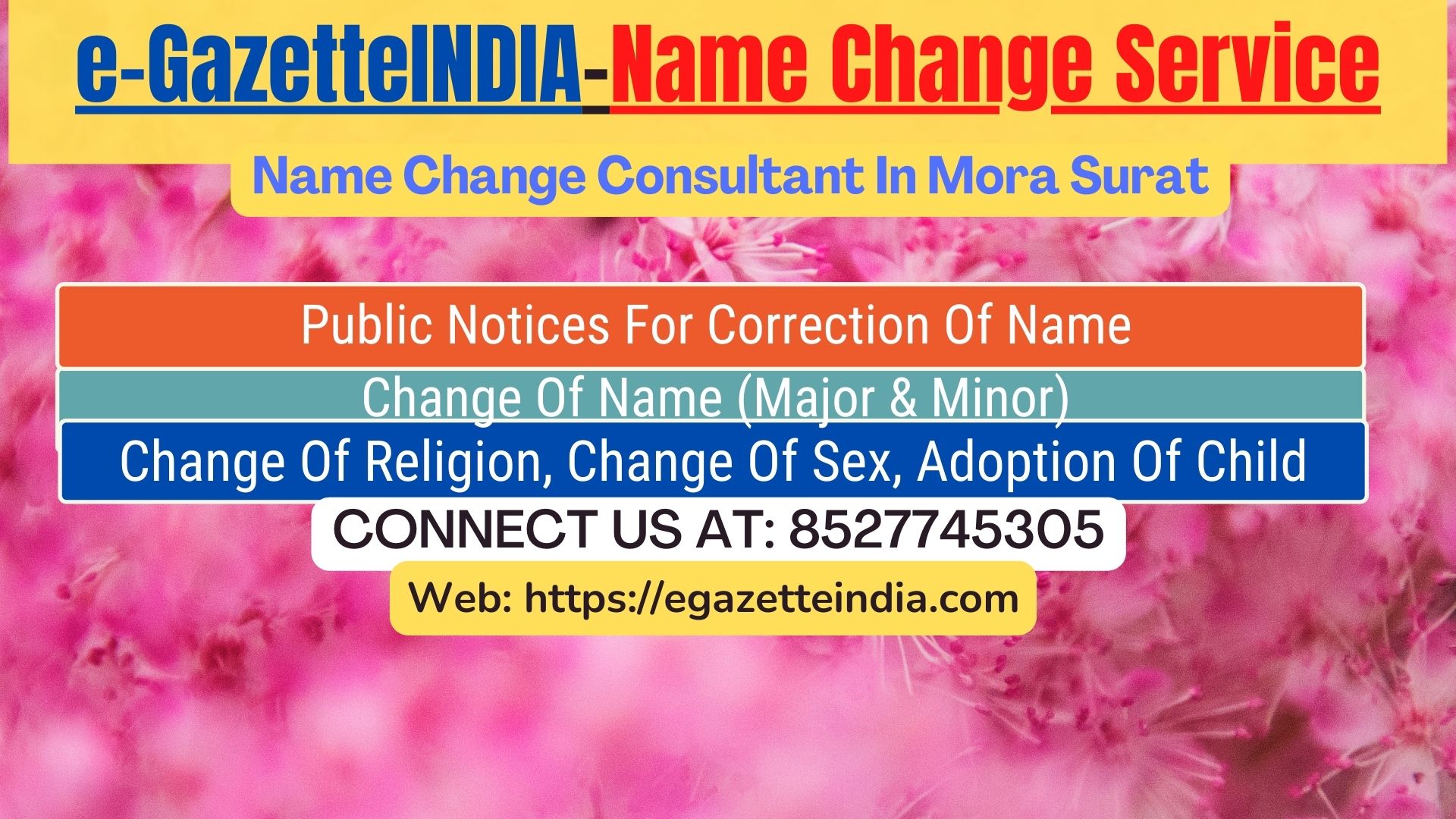 Gazette Name Change Agent Consultant Service In Mora Surat-8527745305