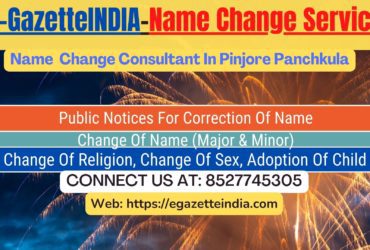 Gazette Name Change Agent Consultant Service In Pinjore Panchkula-8527745305