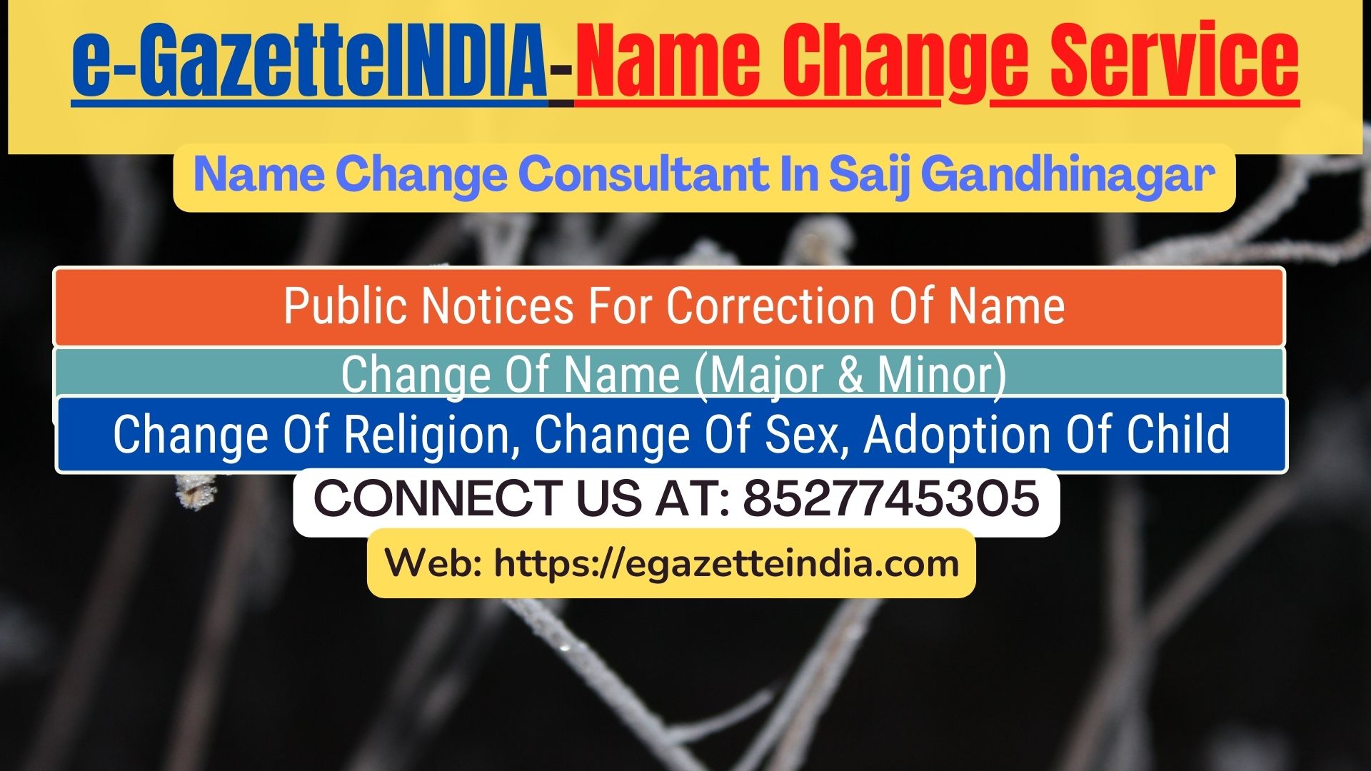 Name Change In Gazette Notification In Saij Gandhinagar-8527745305