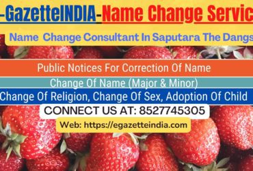 Name Change Gazette Notification In Saputara The Dangs 8527745305