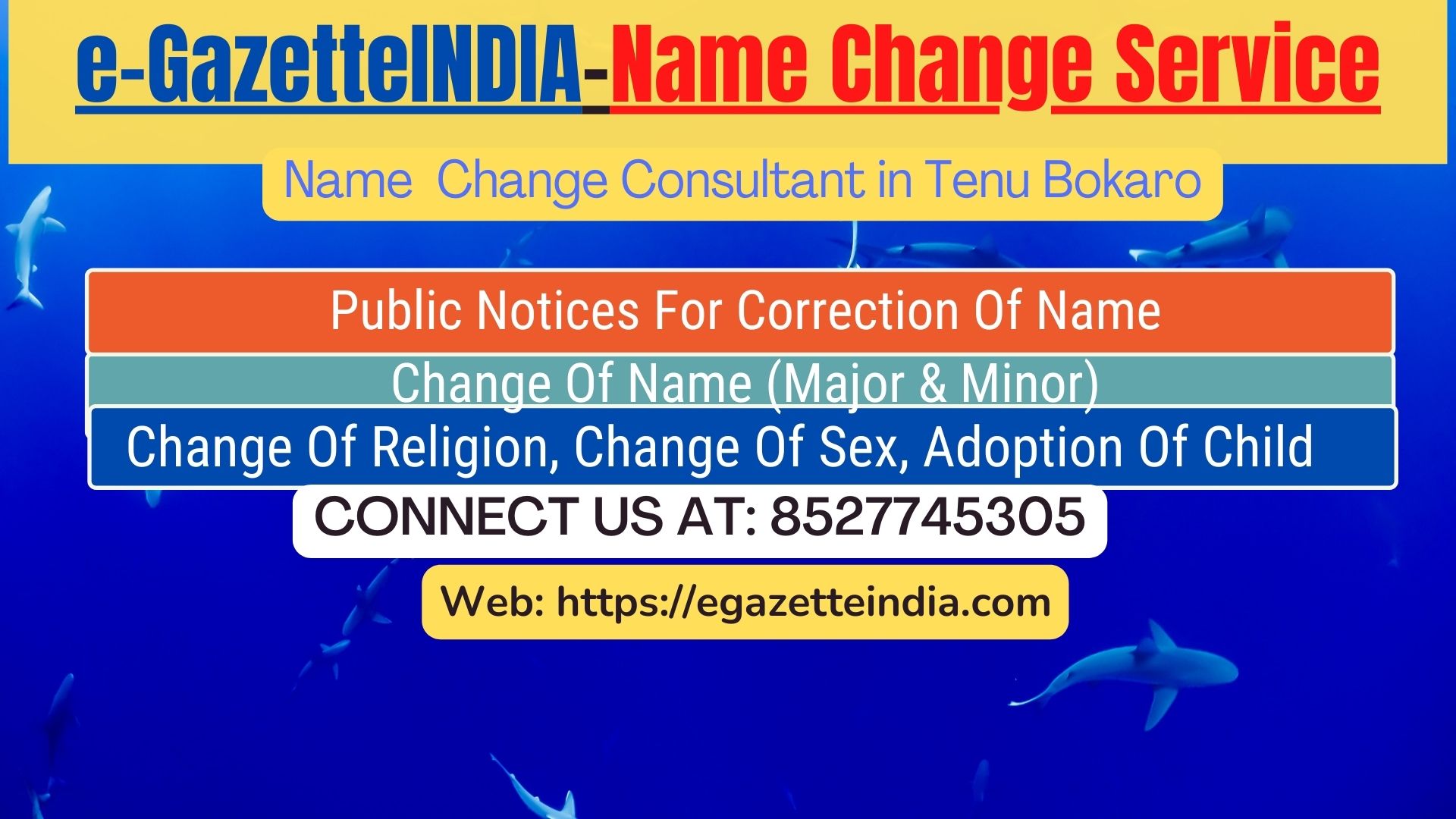 Change of Name in Gazette agent in Tenu Bokaro 8527745305