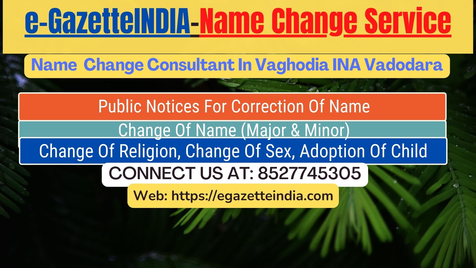 Name Change Gazette Notification In Vaghodia INA Vadodara 8527745305