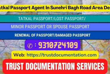 Tatkal passport agents in Sunehri Bagh Road Area Delhi 9310724109