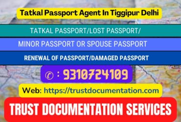 Passport agents service in Tiggipur Delhi 9310724109