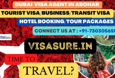 Dubai Visa Consultant In Abohar  7303056551