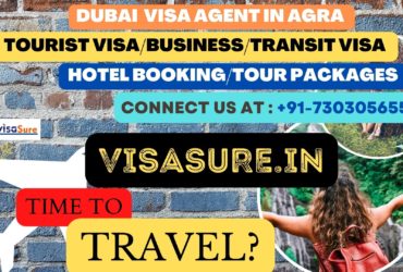 Dubai Visa Consultant In Agra   7303056551