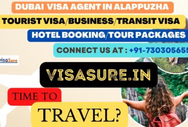 Dubai Visa Consultant In Alappuzha  7303056551