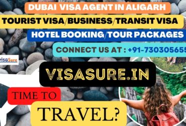 Dubai Visa Consultant In Aligarh   7303056551