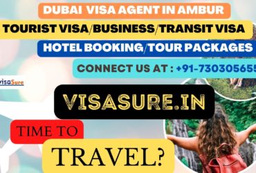 Dubai Visa Consultant In Ambur   7303056551