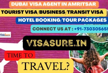 Dubai Visa Consultant In Amritsar  7303056551