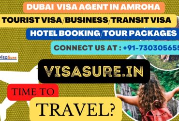 Dubai Visa Consultant In Amroha   7303056551