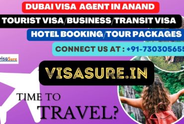 Dubai Visa Consultant In Anand  7303056551