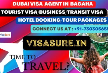 Dubai Visa Consultant In Bagaha   7303056551