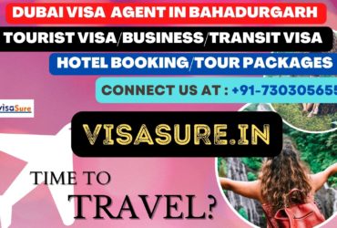 Dubai Visa Consultant In Bahadurgarh  7303056551