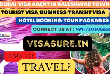 Dubai Visa Consultant In Baleshwar Town  7303056551