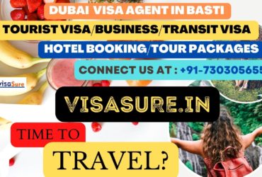 Dubai Visa Consultant In Basti    7303056551