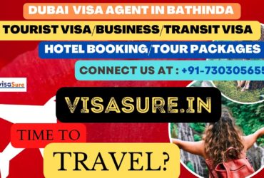 Dubai Visa Consultant In Bathinda  7303056551