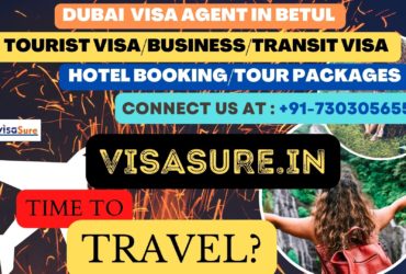 Dubai Visa Consultant In Betul  7303056551