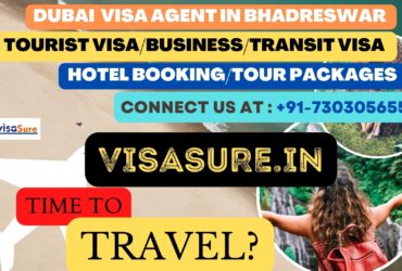 Dubai Visa Consultant In Bhadreswar   7303056551