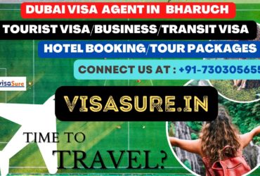 Dubai Visa Consultant In Bharuch  7303056551