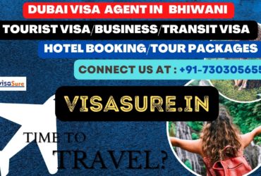 Dubai Visa Consultant In Bhiwani  7303056551