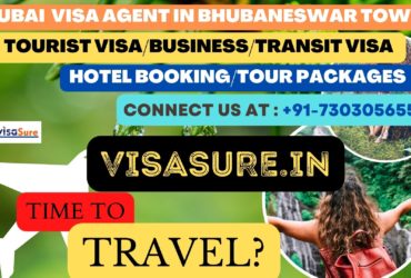 Dubai Visa Consultant In Bhubaneswar Town  7303056551