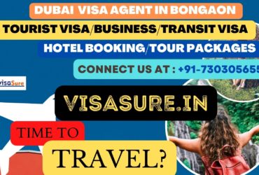 Dubai Visa Consultant In Bongaon   7303056551