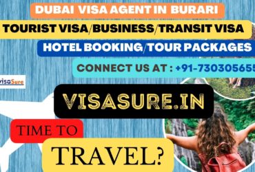 Dubai Visa Consultant In Burari  7303056551