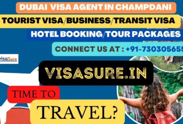 Dubai Visa Consultant In Champdani   7303056551